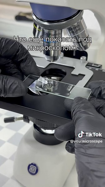 Дешёвый энергетик: под микроскопом