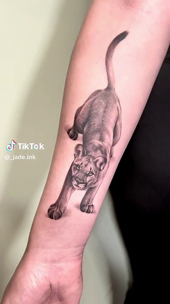 Mountain lion micro(ish) realism piece #tattoo #tattoos #tattooartist #femaletattooartist #realistictattoo #cattattoo