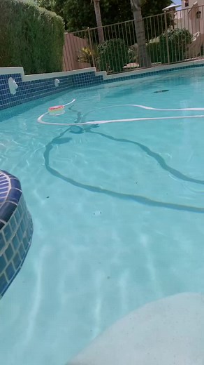 Phyllis Davis on TikTok