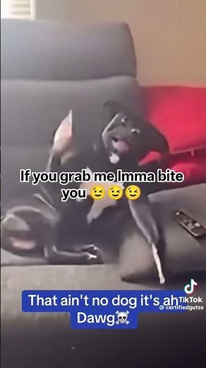if you grab me Imma bite you
