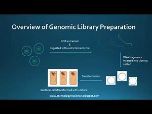 Genomic Libraries, cDNA Libraries and their applications
