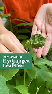 4.5K views · 83 reactions | Ah! What the heck is wrong with my...