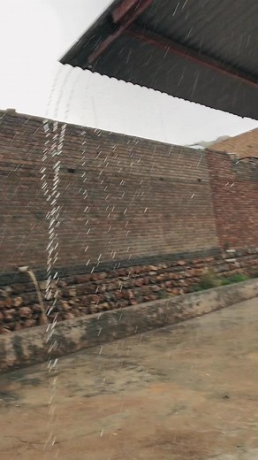 Kohat vines new funny really video 😂 | Kohat Vines