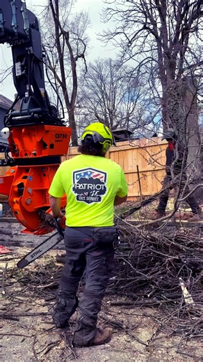This Is How You Remove a Tree With NO Space.