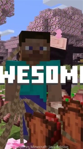 Minecraft update part 2 secret features you missed today #shorts