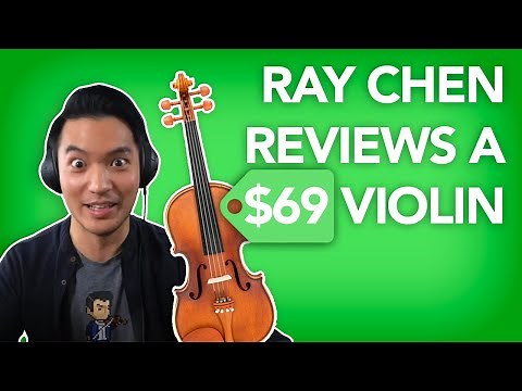 Concert Violinist Reviews a Cheap $69 Violin