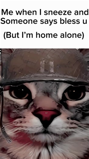 POV when I sneeze and someone says bless you and I’m home alone #memes #funny #funnyshorts