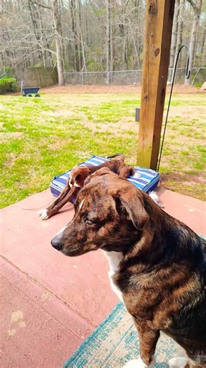 Start of my Staycation! I hope these two don't break daddy.