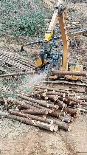 Powerful Excavator Logging Machine in Action | Grapple Saw Timber Harvesting on Mountain Slope