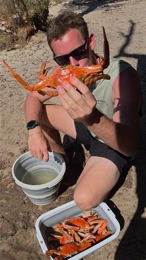 Blue Crab Cleaning Technique That Actually Works #mandurah #perth #crab #tutorial #shorts