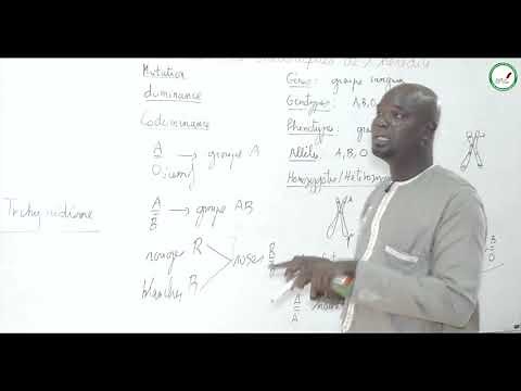 Course - Final year - SVT: Genetics / Experimental protocol / Suite 1