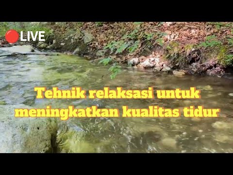 cara tehnik relaksasi untuk meningkatkan kualitas tidur