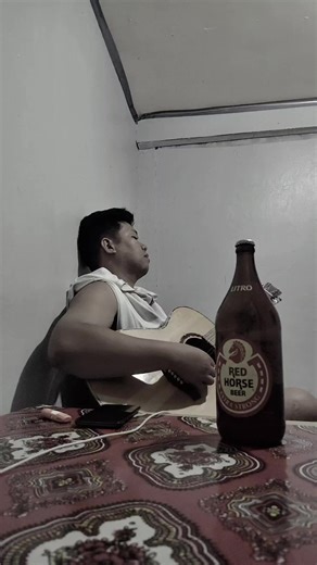 Redemption Song Acoustic Cover