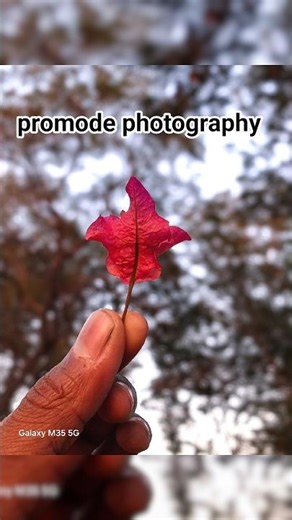 wait for end 😱 promode photography📷 manual mode #photography #shortvideo #fyp