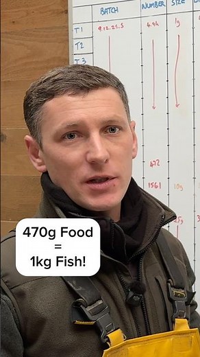 Trout are basically MAGIC 🐟✨ (FCR Explained)