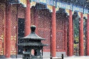 35 reactions · 4 comments | Chinese capital Beijing embraces first snowfall of the season in 2020! 北京2020冬季的第一场雪来啦！ #China #Beijing #snowfall #snow #雪花 #JessicaTalks 故宫博物院 故宫 #winter More videos on YouTube: https://www.youtube.com/channel/UCYh_mHpx8J6dm4XoRvaSbWQ | Jessica Zang | Facebook