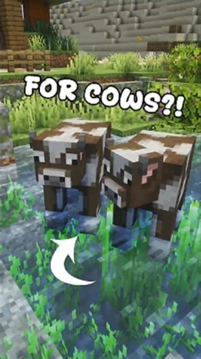 A POND... for COWS?! #minecraft #designy #mcyt #zoominecraft #minecraftbuild
