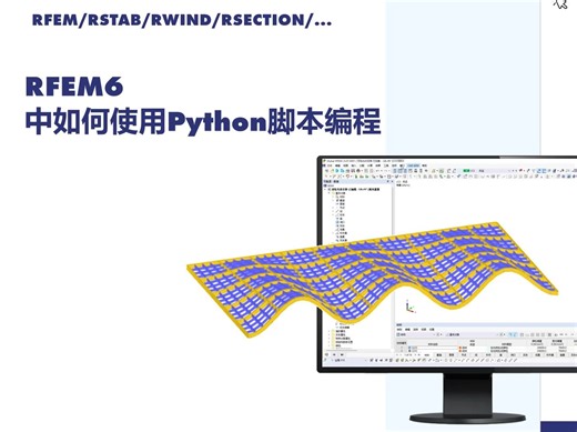 如何在RFEM6中使用Python脚本编程