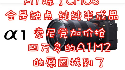 【最强弃舰】索尼用户的自适应巅峰机--A1！在A1二代出来之前被过度神话的半成品相机！