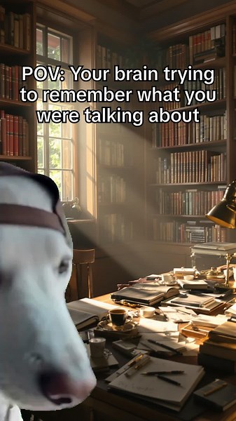 POV: Your brain trying to remember what you were talking about. 🐶 We've all been this dog! 😂 If you constantly lose your train of thought, you're not alone. Follow us for tips to clear the mental clouds and get your focus back! #BrainFog #MentalClarity #WhatWasISaying #MemoryLoss #Relatable #BrainHealth