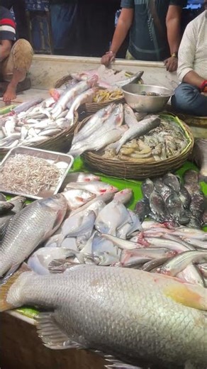 আজ রবি বারের বাজার ma Kali fish centre.Desi fish in Kolkata #fishvideo #fishmarket #kolkata #মাছ