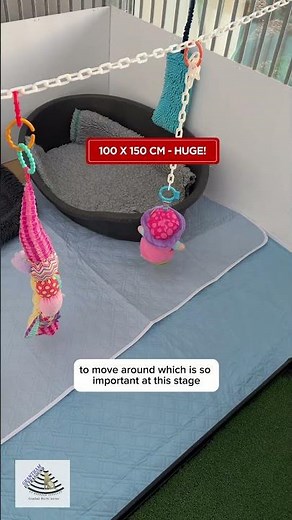 Setting Up A Weaning Pen? These XL Washable Puppy Pads Are A Game Changer