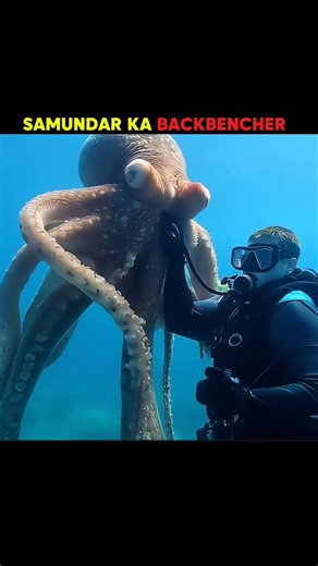 Meet the Ocean's Most Chaotic Animal! 🐙🔥 #facts #marinemystery