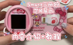 【拓麻】Smart三丽鸥芯片展示 读取教程（附部分翻译）