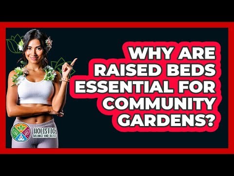 Why Are Raised Beds Essential For Community Gardens? - Holistic Balance And Bliss