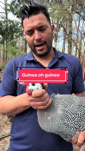 El Rancho Cubamex (@el.rancho.en.el.c)’s video of El Macho