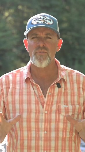 11K views · 74 reactions | CATCHING A GOLDEN TROUT ⤵️ Have you seen...