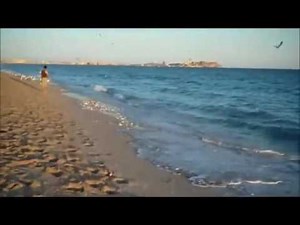 Fish | Fish Videos | Thousands Of Fish | Grunion Run Video | Grunion Run On Sandy Beach