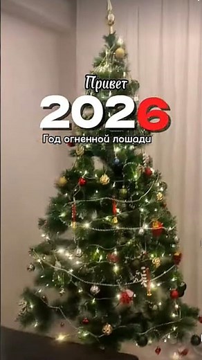 С Новым Годом. .2026.