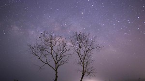 What time is the meteor shower tonight? How to see Lyrids before they're gone