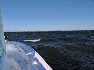 Everglades 243 in the Rough Stuff