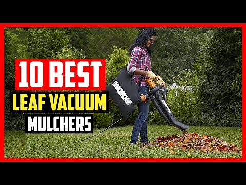 ✅ Top 10 Best Leaf Vacuum Mulchers of 2025