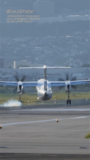 Amazing Crosswind Crab & One-Wheel Touchdown! Quick Realignment Landing by ANA Q400 | ITM/RJOO