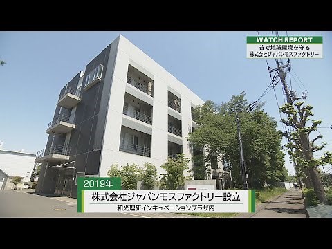 Watch Report 「(株)ジャパンモスファクトリー」（埼玉ビジネスウオッチ2023年5月20日放送分）
