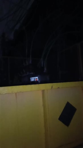 Save Animals: A Heartwarming Cat Rescue Story