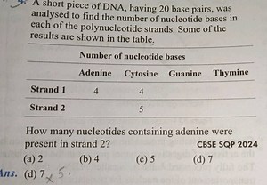 A short piece of DNA, having 20 base pairs, was analysed to fin... | Filo