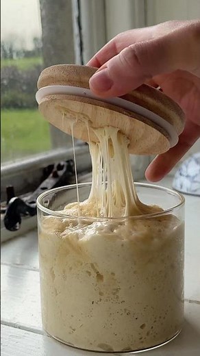 HOW TO MAKE ITALIAN SOURDOUGH STARTER: LIEVITO MADRE