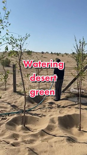 China's Desert Greening with Water Transported for Green Plants
