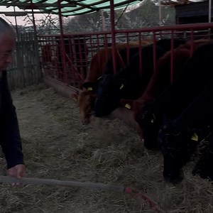 Viața la țară!😀😀😀 Ceea ce vă doresc și vouă! Să aveți o săptămână binecuvântată! Vă pupă Bodo 😘 | Proconsul