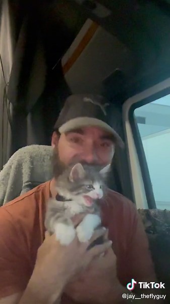 #Jinx loves going outside at the end of our day, 😸 getting some of that kitten energy out before bed help us both sleep good 😆