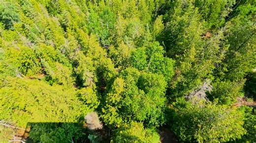 Parks Canada Visitor Centre Lookout Tower. More than a building with exhibits and a theatre, this Visitor Centre also has a viewing tower high above the tree tops that gives an eagle's view of the strait joining Georgian Bay with the greater body of Lake Huron. Below the tower is the beginning of a new 5 km park trail to Georgian Bay. https://brucegreysimcoe.com/operators/parks-canada-visitor-centre-lookout-tower | Grey Bruce Explorer & Beyond