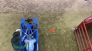 2.9K views · 105 reactions | Can’t stop her now. Jackie Hobbs-Crawford just laid down a run in 1.63 seconds at The Cowgirl Gathering’s Open Breakaway Roping!  #TheQueen Women’s Week coverage is brought to you all week long by Resistol and Charlie 1 Horse Hat Company. | The Breakaway Roping Journal | Facebook