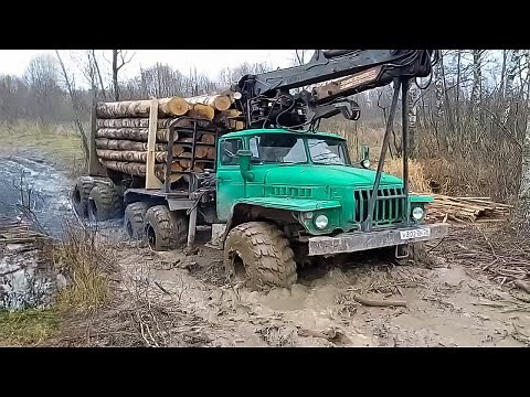 Soviet vs US Vintage 6x6 Heavy Military Trucks for Logging - GMC, FAP 1314, KrAZ, URAL Off-Road