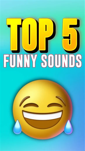 Top 5 funny sounds