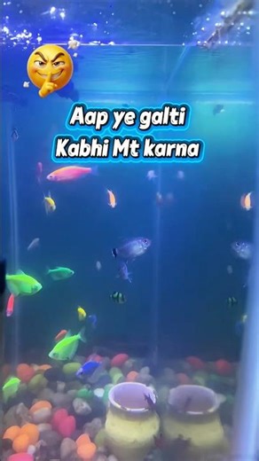 Aap ye galti mt karna #fish #share #aquarium #youtubeshorts #fishing #vlog #shorts #shortsfeed #yt