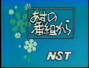 【新潟ローカル】NST「あすの番組から」詰合せ